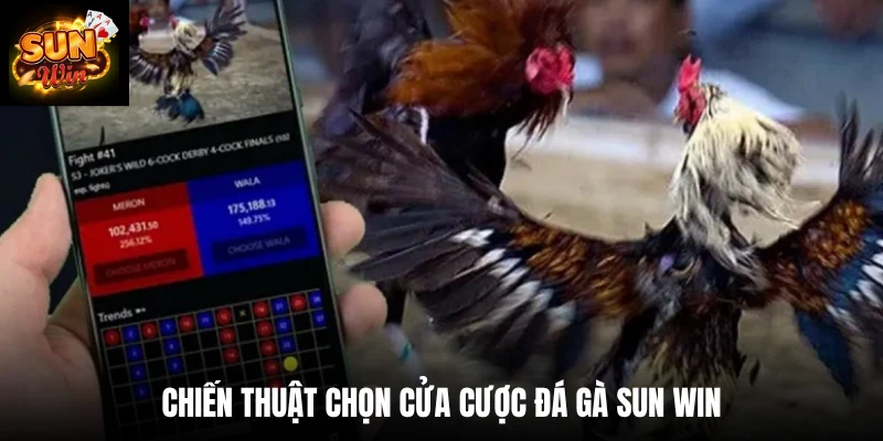 Chiến thuật chọn cửa cược đá gà SUN WIN